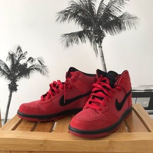 Nike : NWT Dunk Hi tops